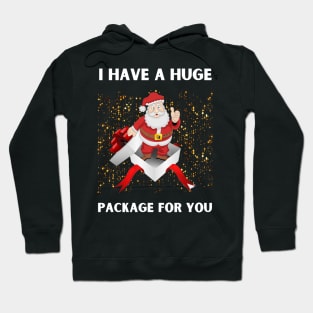 I Have A Huge Package For You Hoodie